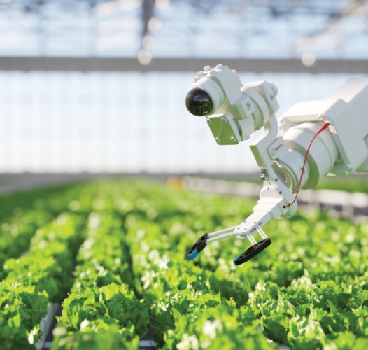 Agricampus